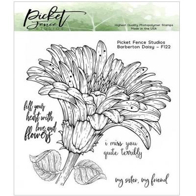 Picket Fence Studios Clear Stamp - Barberton Daisy